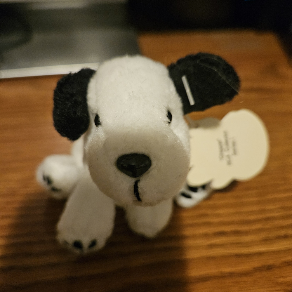 Small Plush Chipper RCA Dog Toy